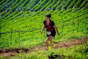 BIB: 2985
                            <button type="button" onclick="openModal(19162636)" class="btn btn-primary btn-sm float-right btn-popup" data-toggle="modal" data-target=".modal-high-quality">
                        <i class="fas fa-shopping-cart"></i> Add to Cart
                    </button>
                                            <button type="button" onclick="isThisMe(19162636, true)" class="btn btn-success btn-sm float-right btn-popup btn-isme hidden" data-toggle="tooltip" data-placement="bottom" title="นี่คือรูปของคุณใช่ไหม คลิกที่นี่เพื่อเอาเข้าอัลบั้ม">
                        <i class="fas fa-plus"></i> Add to album
                    </button>
                    <button type="button" onclick="isThisMe(19162636, false)" class="btn btn-warning btn-sm float-right btn-popup btn-isnotme hidden">
                        <i class="fas fa-ban"></i> Remove from album
                    </button>